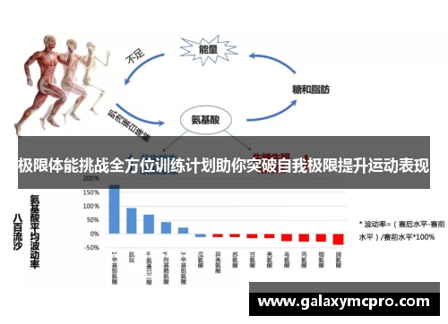 极限体能挑战全方位训练计划助你突破自我极限提升运动表现