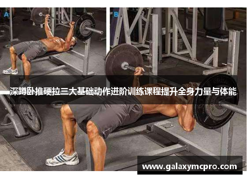 深蹲卧推硬拉三大基础动作进阶训练课程提升全身力量与体能